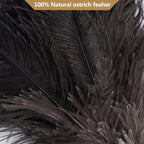 Ostrich Feather Duster - 40cm Long - Wooden Handle - Universal - Brown - Reusable and Washable Car Dusters - Eco-Friendly Cleaning Dusters - Feather Dusters