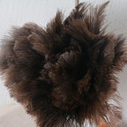 Ostrich Feather Duster - 40cm Long - Wooden Handle - Universal - Brown - Reusable and Washable Car Dusters - Eco-Friendly Cleaning Dusters - Feather Dusters