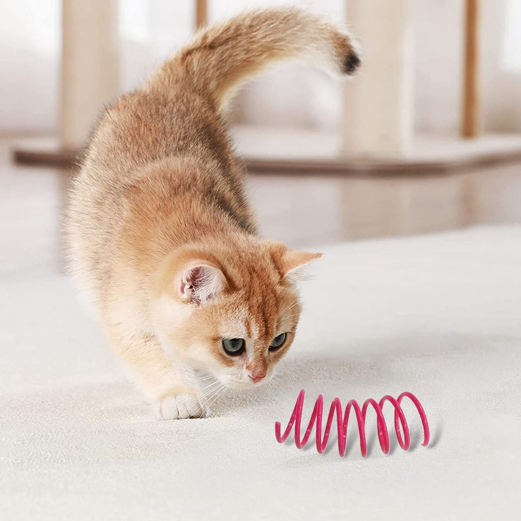 Red Pet Cat Toy Spring Style Spring Toys Playful Coils for Plastic for Swatting Biting Hunting and Active Play Colorful Red