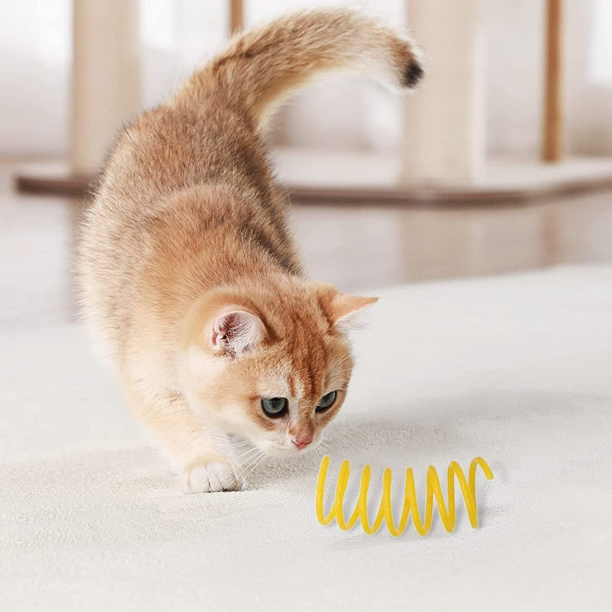 Red Pet Cat Toy Spring Style Spring Toys Playful Coils for Plastic for Swatting Biting Hunting and Active Play Colorful Red