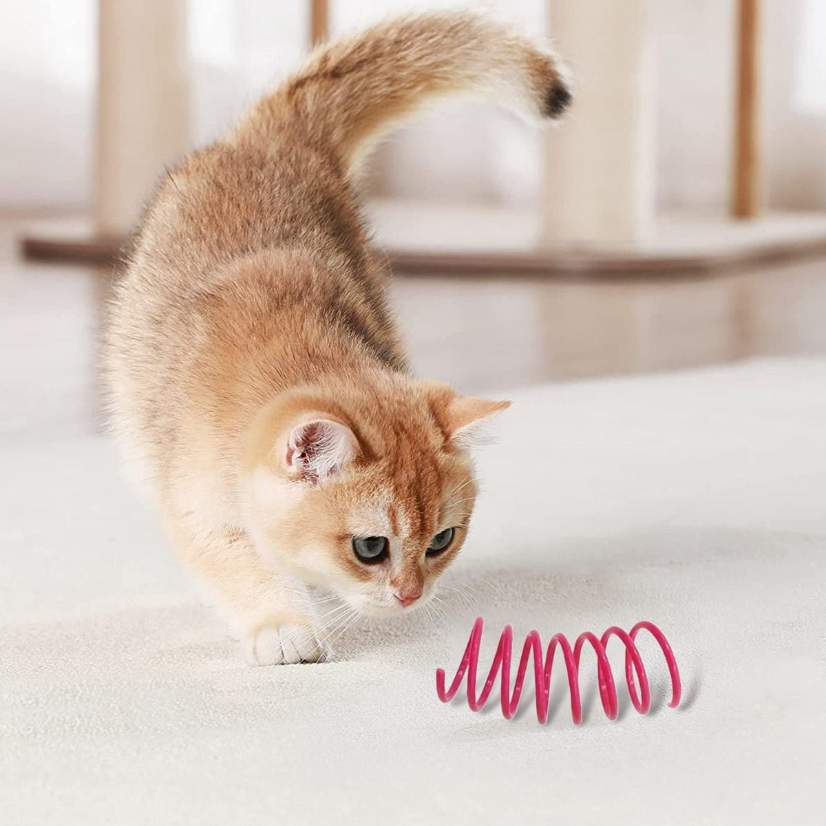 Red Pet Cat Toy Spring Style Spring Toys Playful Coils for Plastic for Swatting Biting Hunting and Active Play Colorful, Red Yellow