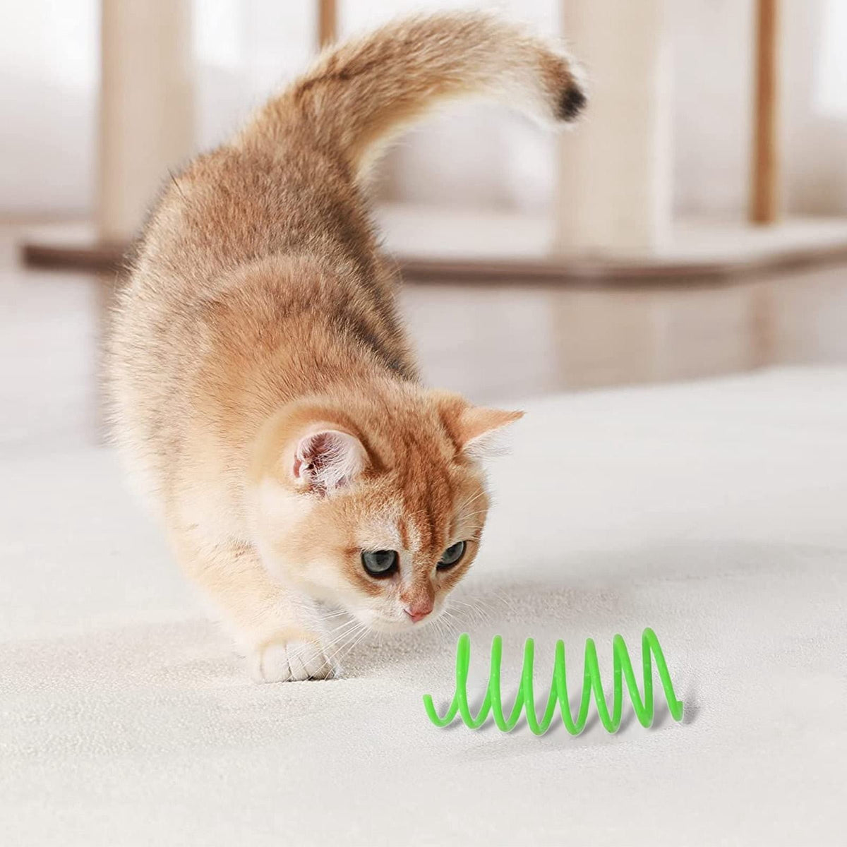Red Pet Cat Toy Spring Style Spring Toys Playful Coils for Plastic for Swatting Biting Hunting and Active Play Colorful, Red Yellow