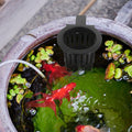 6Pcs Black Fish Tank Plant Holder for Hydroponic Aquatic Plants with Slots