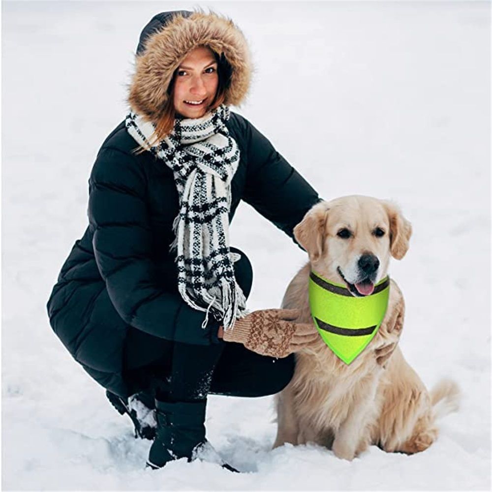 Set of 2 Dog Reflective Scarf Safety Pet Hunting Bandana, scarf reflective cat and dog drool towelGreen,M