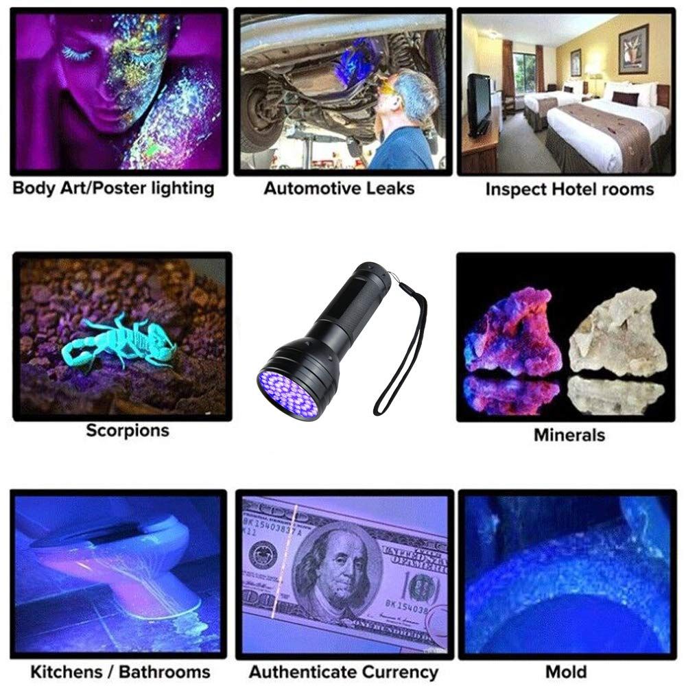 UV Flashlight Black Light,51LED Blacklight Pet Urine Detector for Dog/Cat Urine, Dry Stains,Bed Bug,Resin Curing,Scorpions Finder