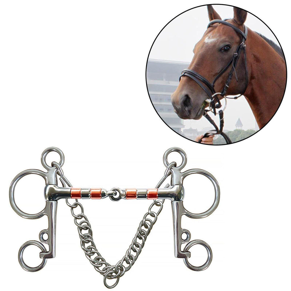 Horse Bit Snaffle Bit for Horse Training Outdoor Horse Accessories Horse Chewing Bit Equestrian Metal with Hooks, Curb Chain