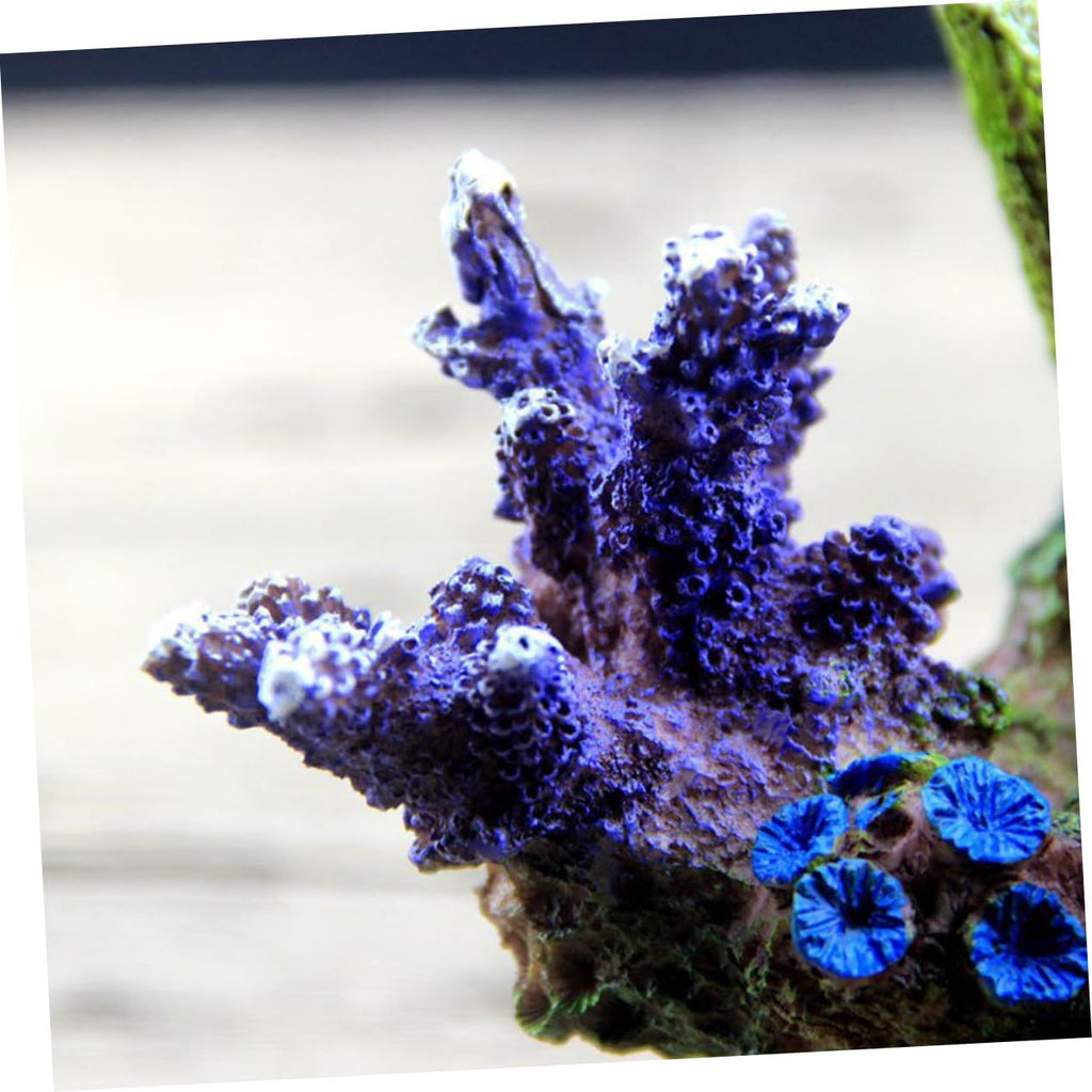 1pc Simulative Coral Reef Aquarium Decoration Fish Tank Ornament for Underwater Landscape and Design for Fish Shelter and Entertainment