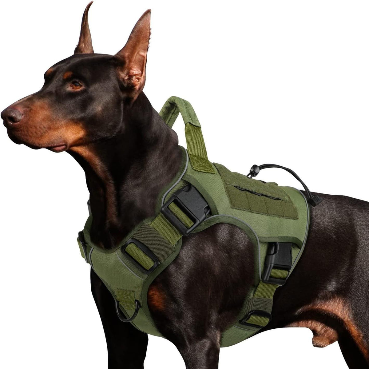 Dark Green L | Waterproof Field Training Dog Vest | Christmas Hunting Gift | for Large Sporting Dogs