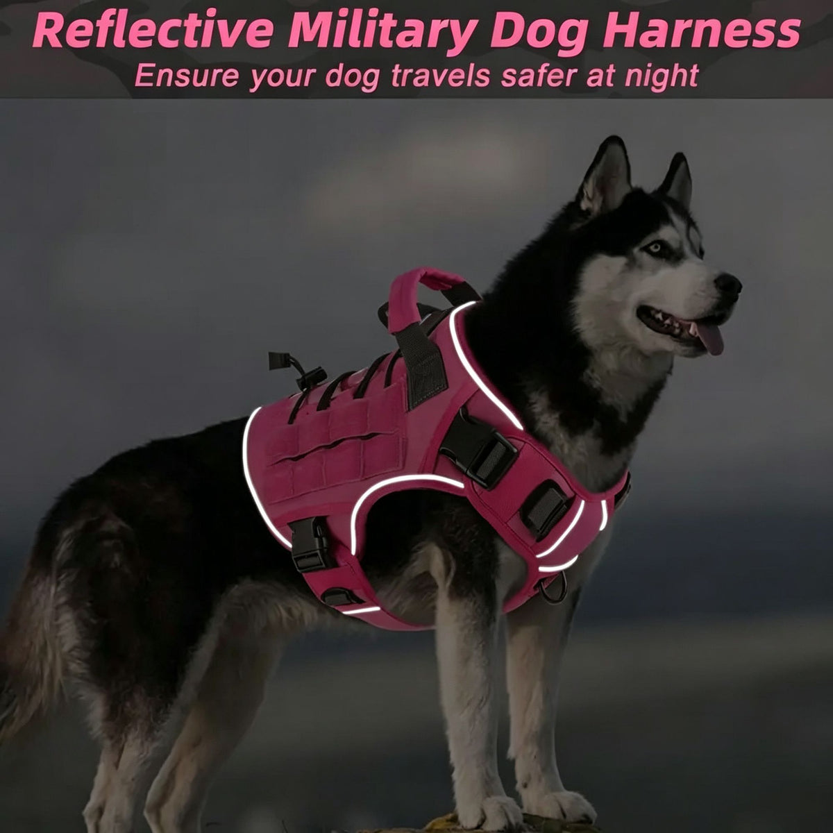 Dark Green L | Waterproof Field Training Dog Vest | Christmas Hunting Gift | for Large Sporting Dogs