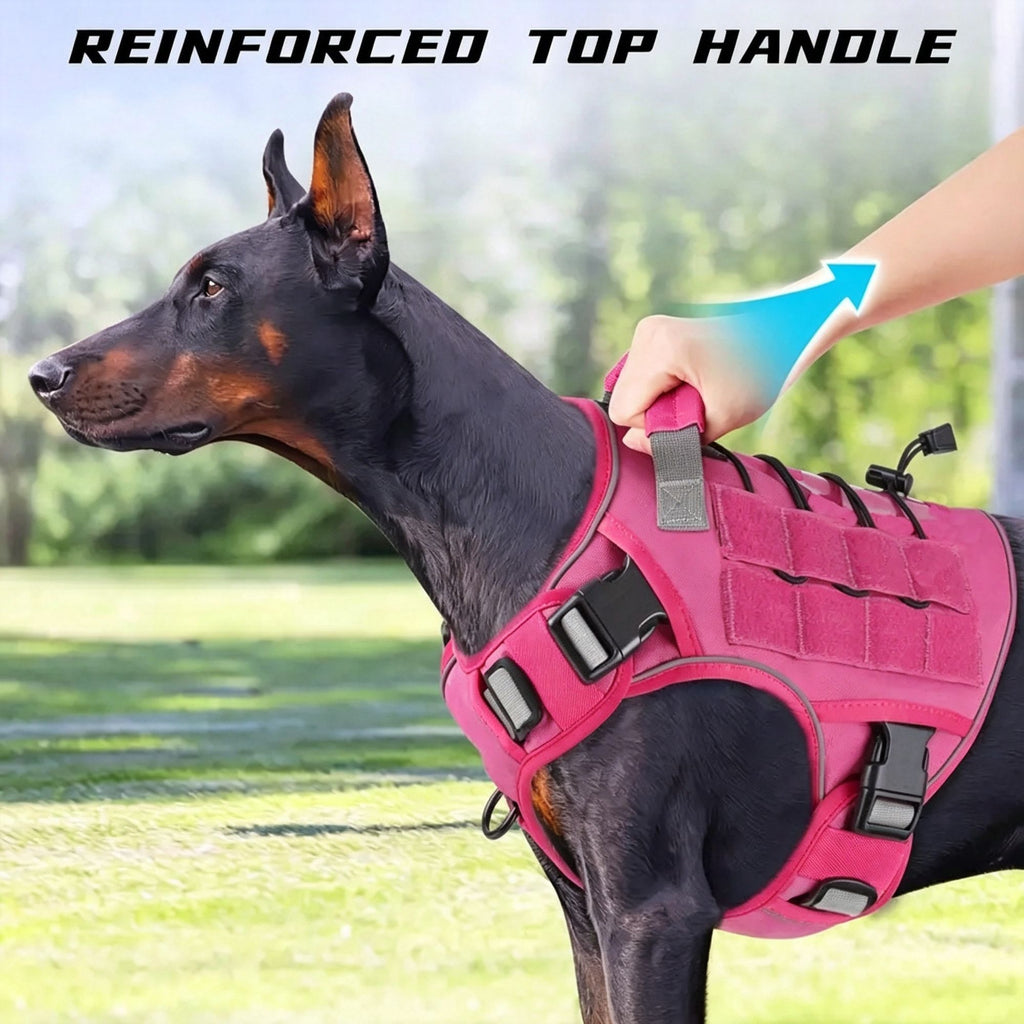 Orange XL | Bright Waterproof Dog Harness Vest | Halloween High Vis Gear | for Extra Large Hunting Dogs