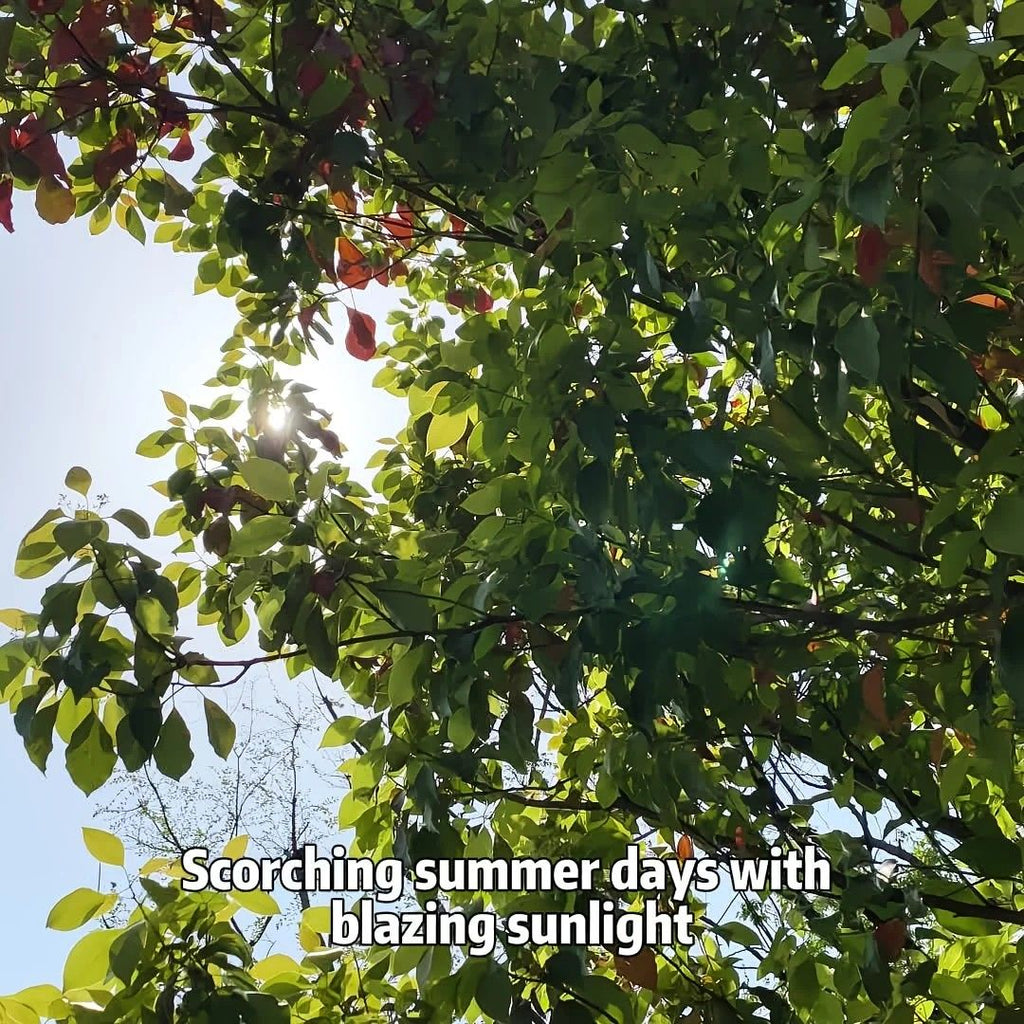 Car Sunshade: Laser Reflective Coating for Scientific Sun Protection, Dual-Layer Heat Insulation with Seamless Fit, Quick Cooling After Sun Exposure, Protects Interior from Aging.