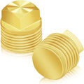 2 Pcs Boat Drain Plug, Solid Brass Boat Plug 1/2 Inch NPT Boat Plugs Hull Spare Garboard Drain Plug Compatible with Glastron Bayliner Sea Ray Four Winns Starcraft Boat Parts, Suitable for Most Hulls