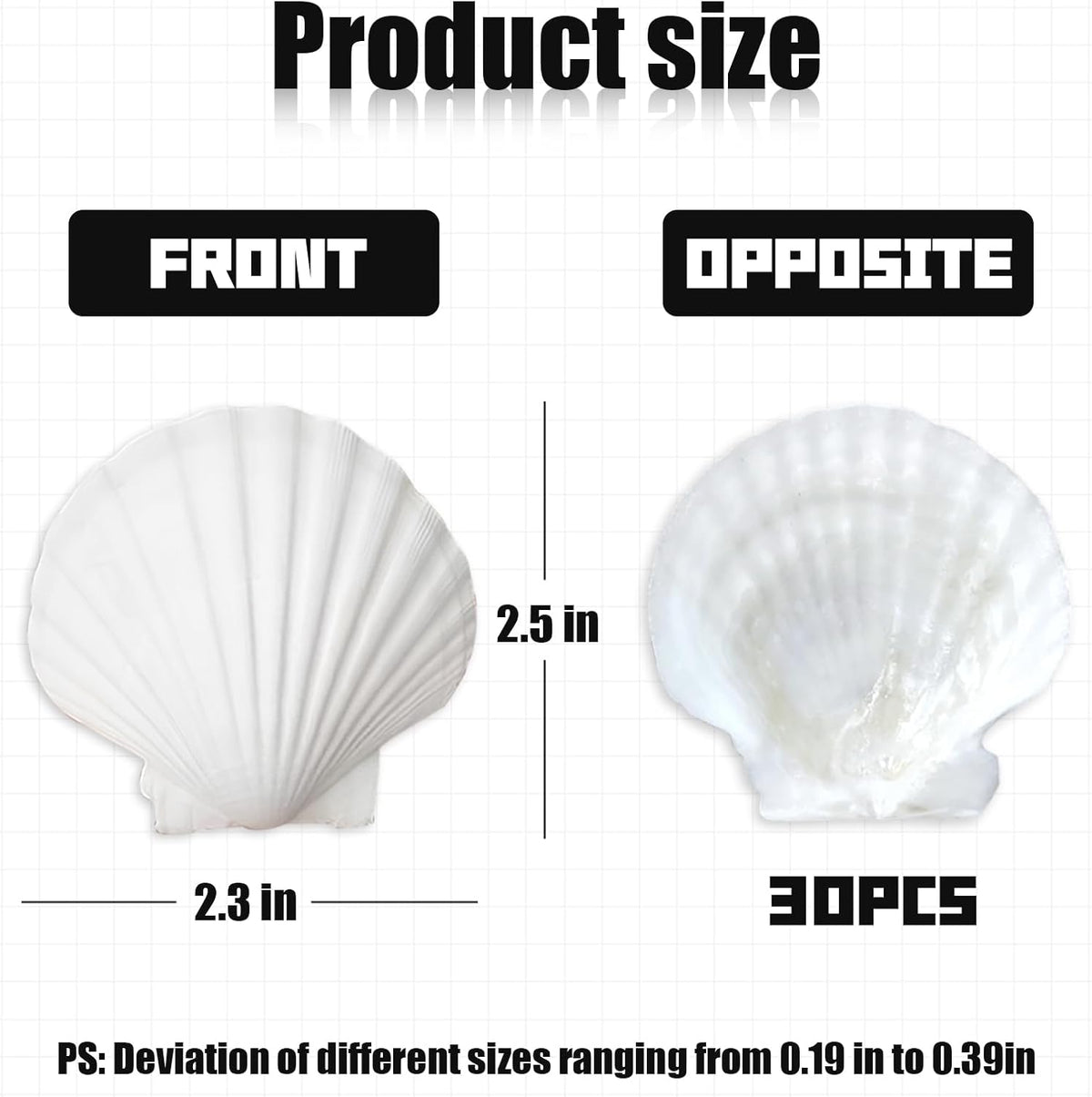 30Pcs Seashells for Crafts,Scallop Shells for Beach Decoration,2-3In Seashells for DIY Craft Painting，White Sea Shells for Beaching Wedding,Party,Home Decoration