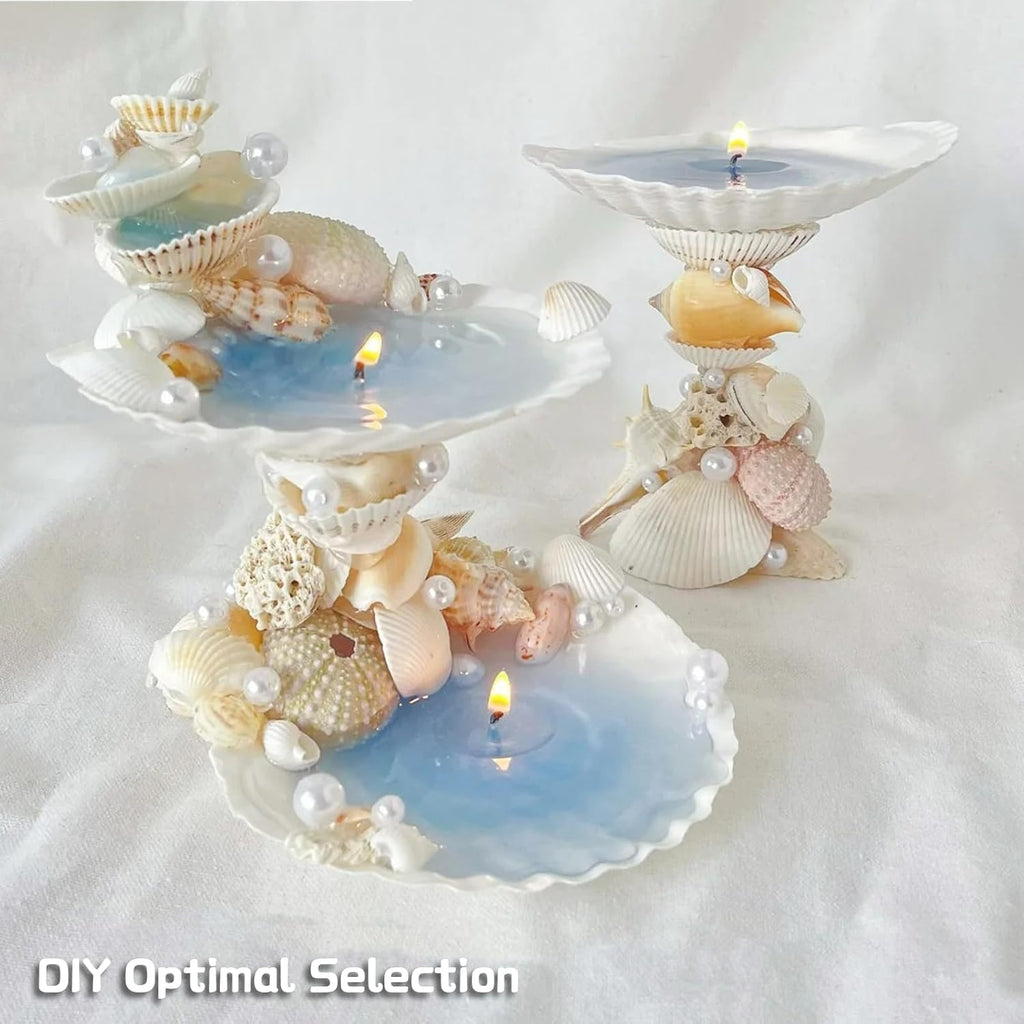 30Pcs Seashells for Crafts,Scallop Shells for Beach Decoration,2-3In Seashells for DIY Craft Painting，White Sea Shells for Beaching Wedding,Party,Home Decoration
