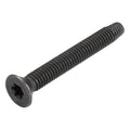 1/4 x 2-1/2" Trailer Deck Screws (100 pcs) T-30 Star Drive, Black Phosphate and Oil, Type F Thread Cutting Wood and Metal for Floorboards by Makers Bolt