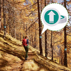 Trail Markers Reflective Marker Pack Bright Marking Reflectors for Hunting Hiking Driveway Camping Walking Backpacking Outdoors, Blue Green Red and Yellow