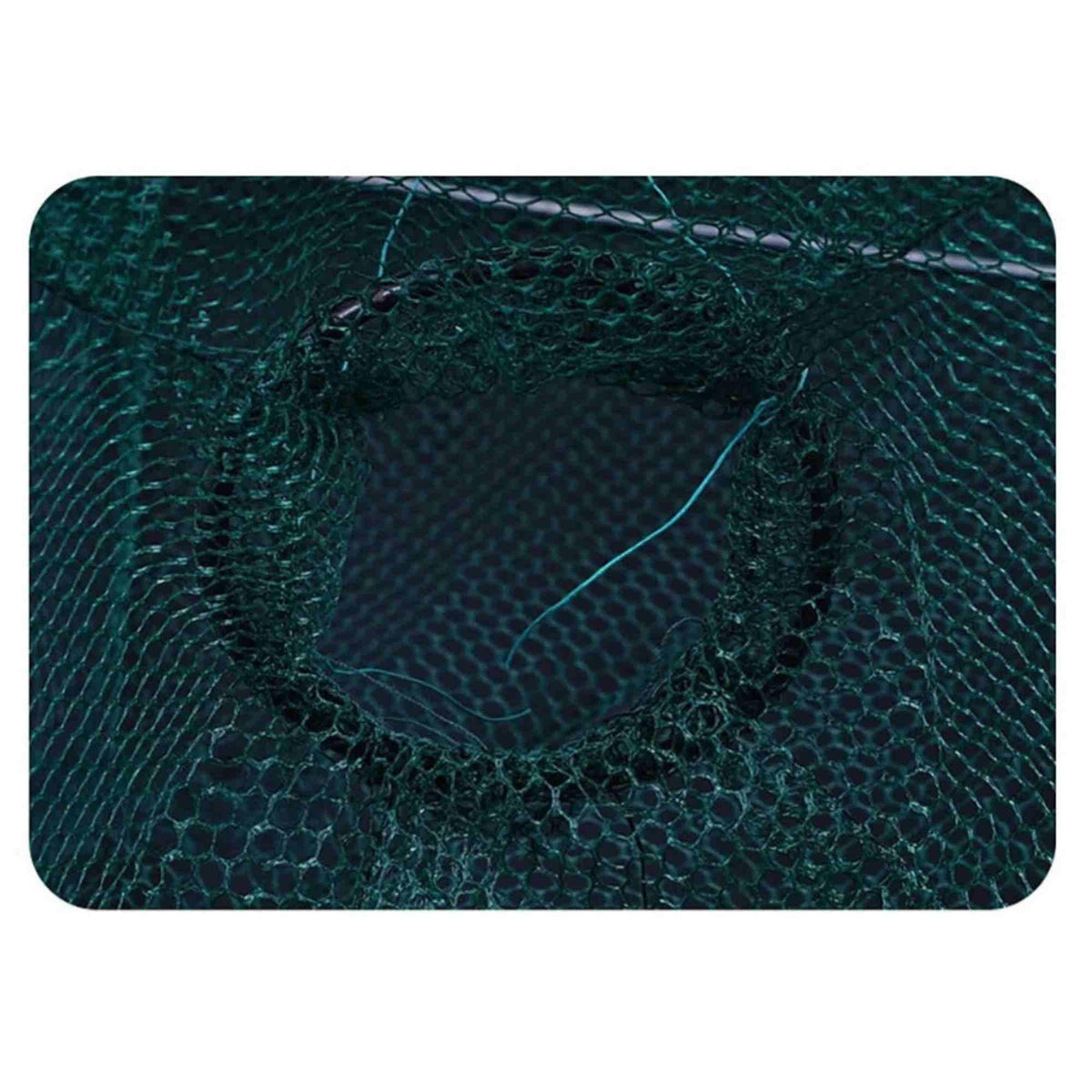 Fishing Bait Trap Fish Net Cast Dip Cage Crab Minnow Crawdad Shrimp Foldable