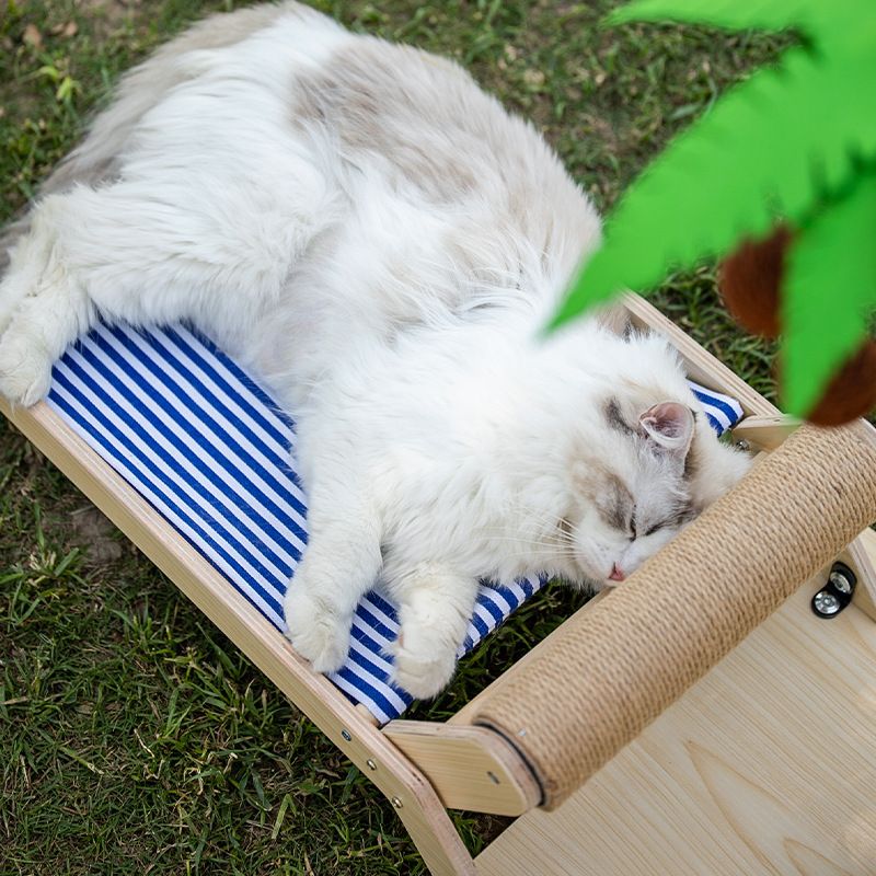 Lailey Cat Coconut Tree Climbing Frame Sisal Post Coconut Tree Tent Nest-Light Apricot