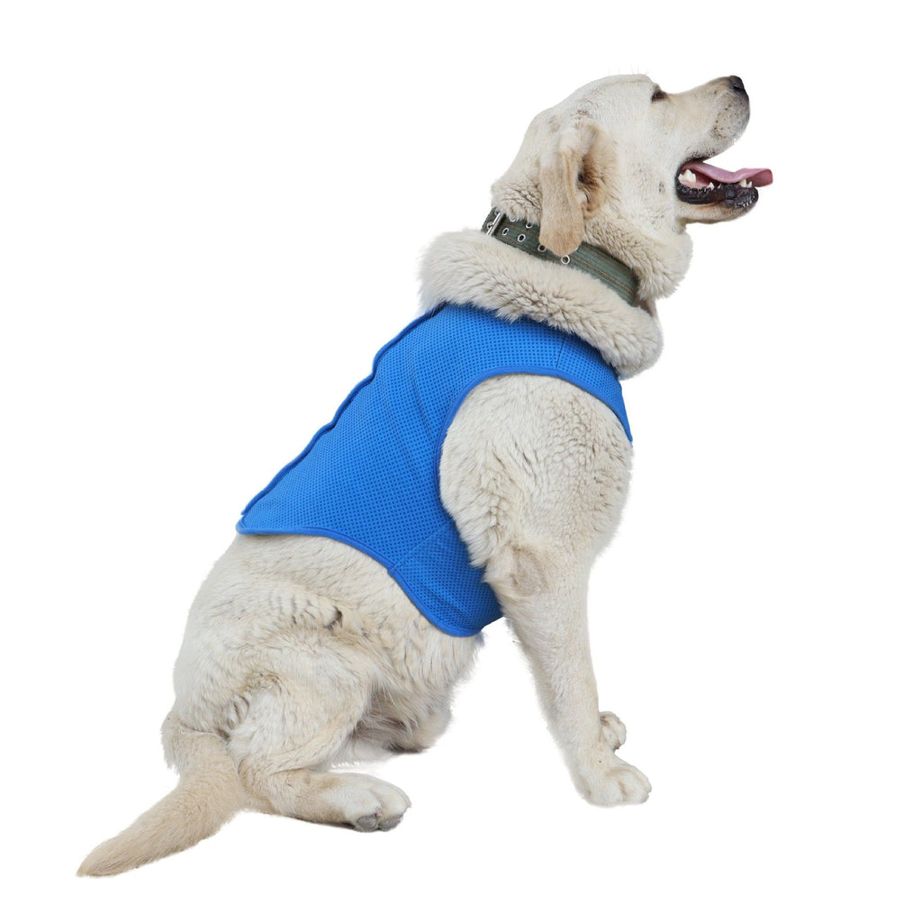 Dog Cooling Vest,Dog Cooling Jacket  – Easy On/Off Cooling Coat for Walks, Travel & Outdoors  for Outdoor Hunting Training and Camping (Blue, L)