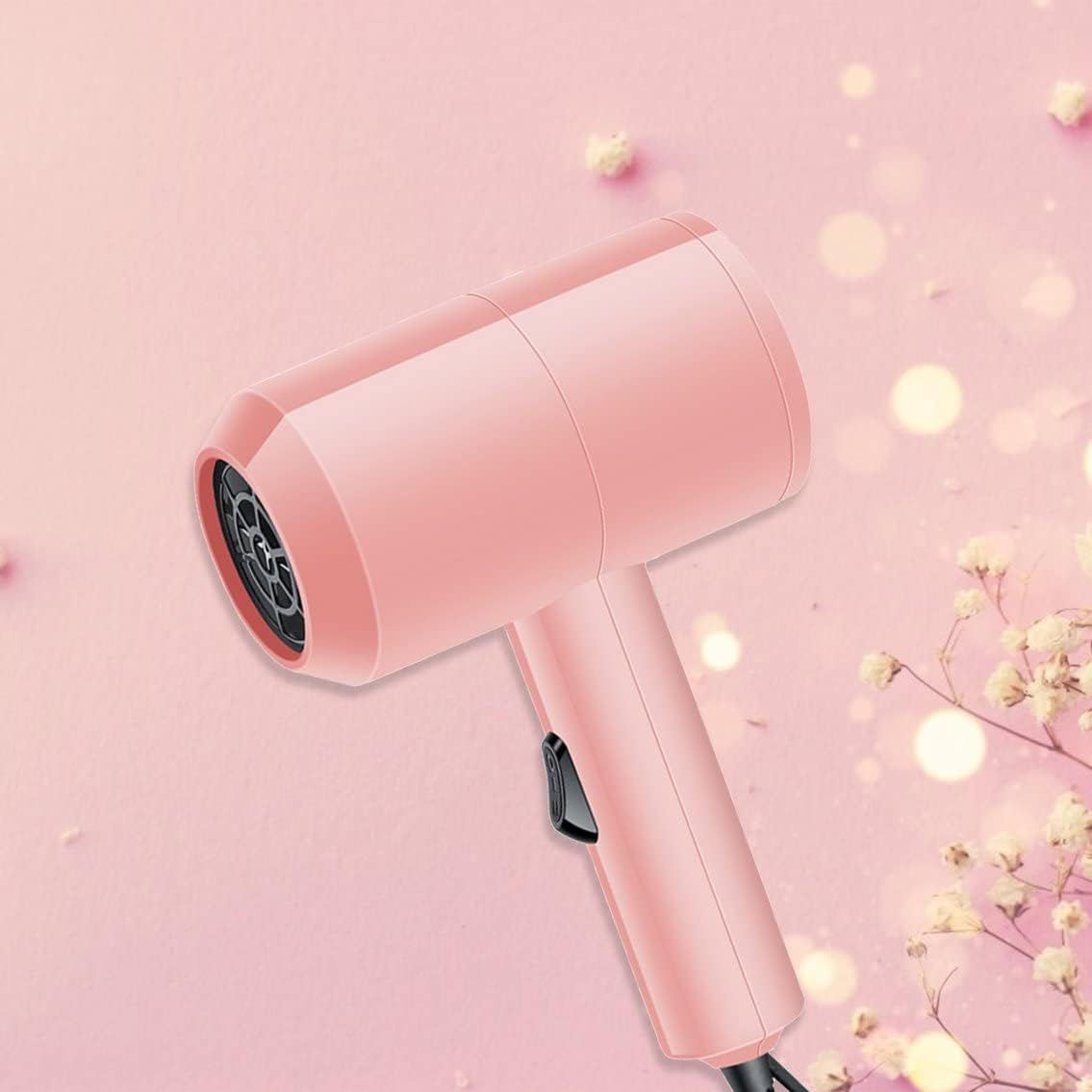 Professional Hair Dryer Electric Dryer Hair Hammer Hairdryer Blow Quick Dry erodynamic noise reduction design, Less noise