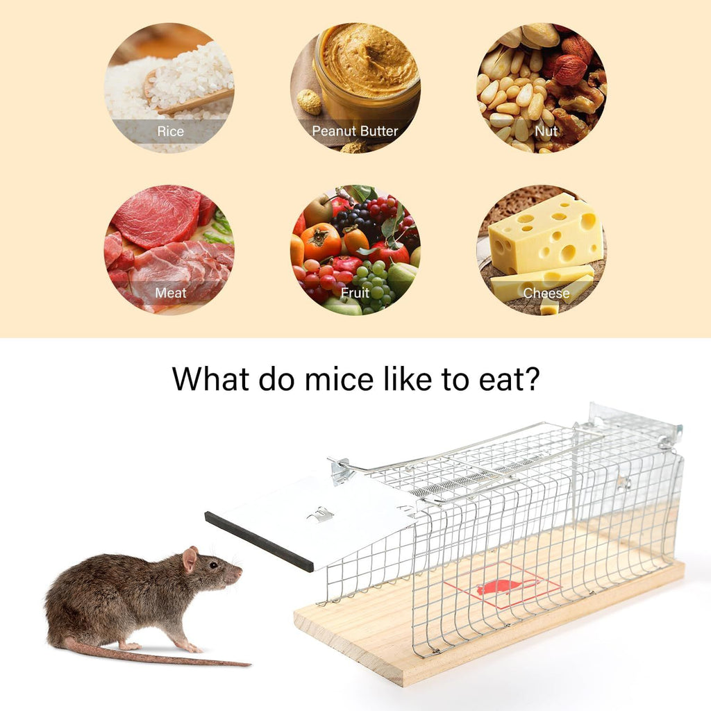 Rat Trap Professional Garden & Home Trap Set for Mice as Well as Rats Chipmunk Hamsters Animal Multiple Live Hunting Cage Box