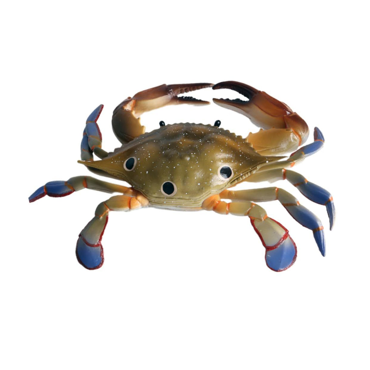 1 Piece Marine Ornament Sea Animal Model Crab Swimming Toy Ornament Models Marine Animal Ornament Ocean Crab Decorations