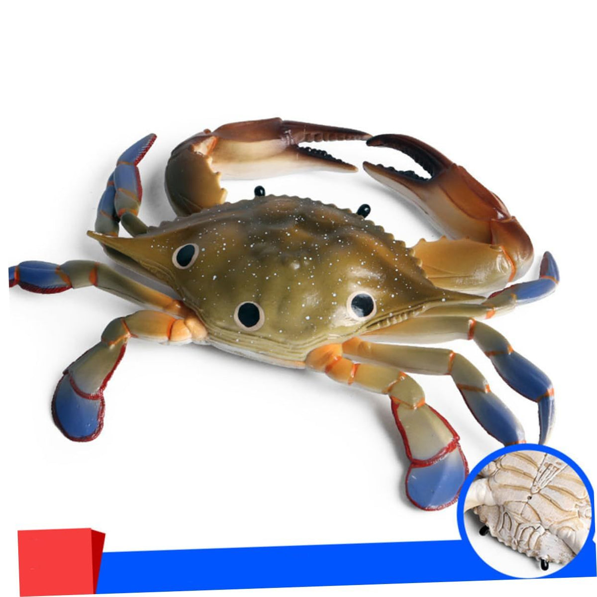 1 Piece Marine Ornament Sea Animal Model Crab Swimming Toy Ornament Models Marine Animal Ornament Ocean Crab Decorations