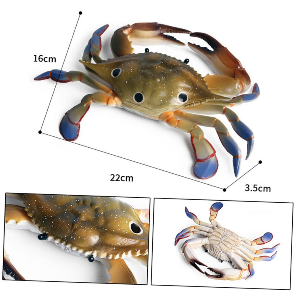 1 Piece Marine Ornament Sea Animal Model Crab Swimming Toy Ornament Models Marine Animal Ornament Ocean Crab Decorations