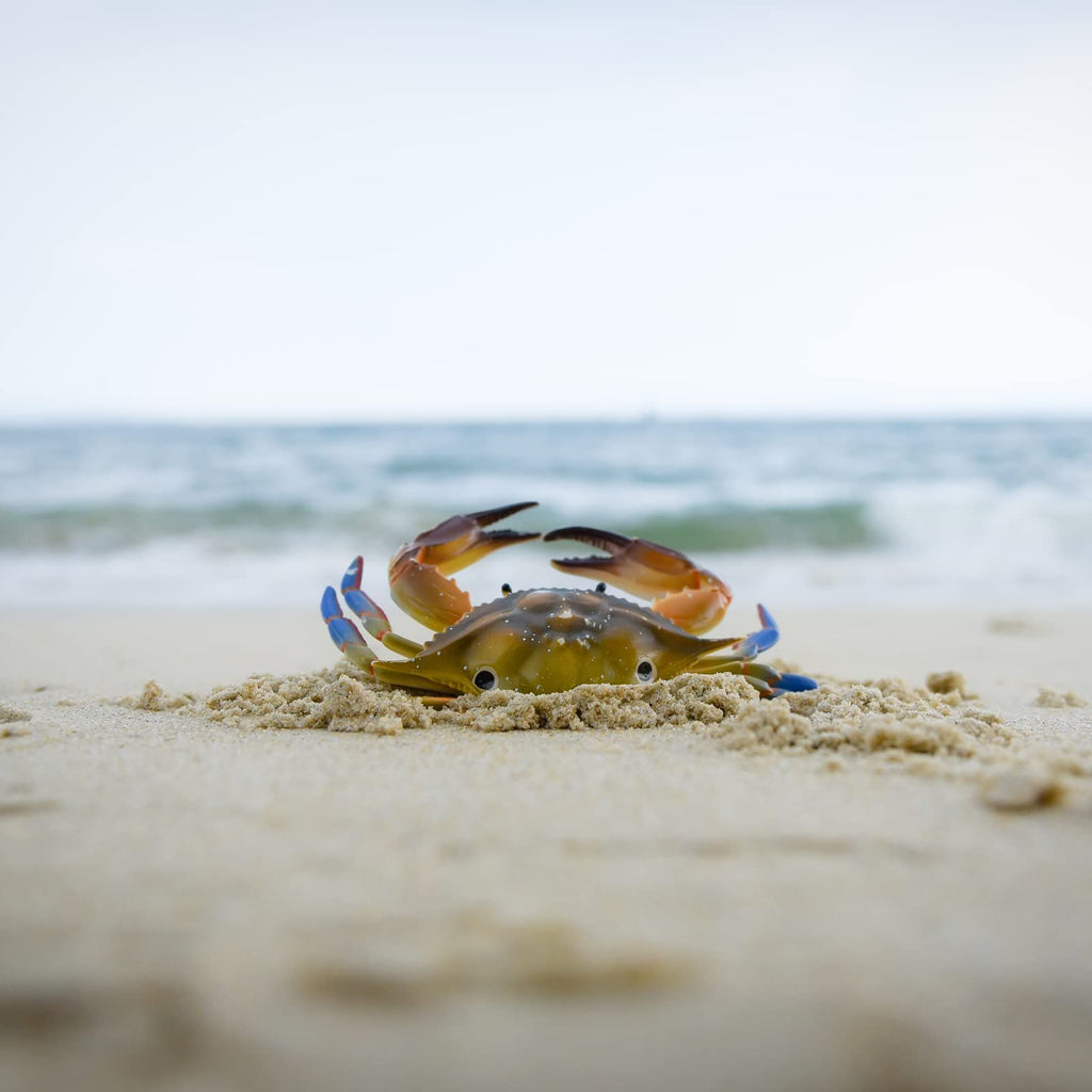 1 Piece Marine Ornament Sea Animal Model Crab Swimming Toy Ornament Models Marine Animal Ornament Ocean Crab Decorations