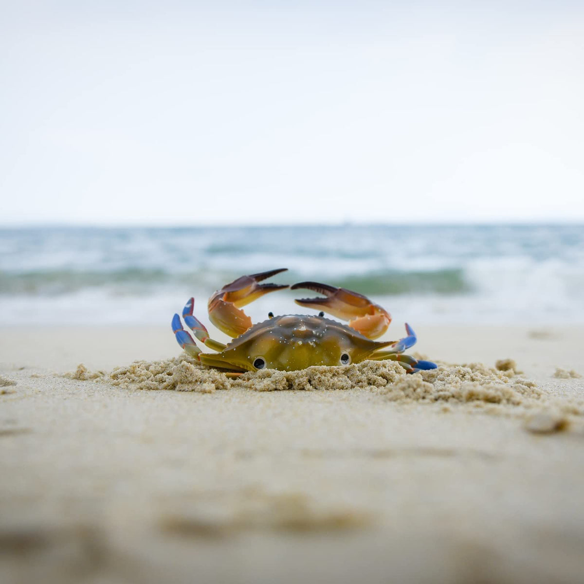 1 Piece Marine Ornament Sea Animal Model Crab Swimming Toy Ornament Models Marine Animal Ornament Ocean Crab Decorations