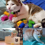 4 Pack Cat Spring Toys for Indoor Cats, Colorful & Durable Plastic Spring Coils Attract Cats to Swat, Bite, Hunt, Interactive Toys