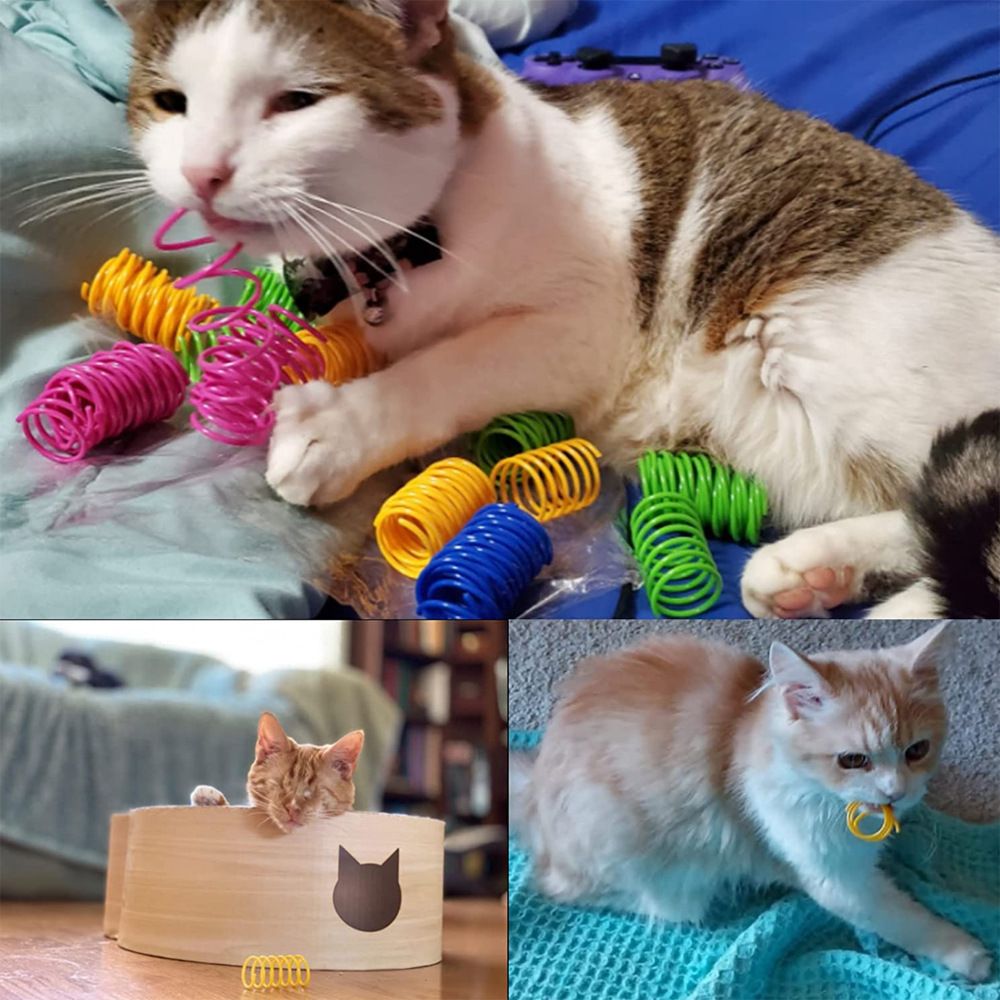 4 Pack Cat Spring Toys for Indoor Cats, Colorful & Durable Plastic Spring Coils Attract Cats to Swat, Bite, Hunt, Interactive Toys