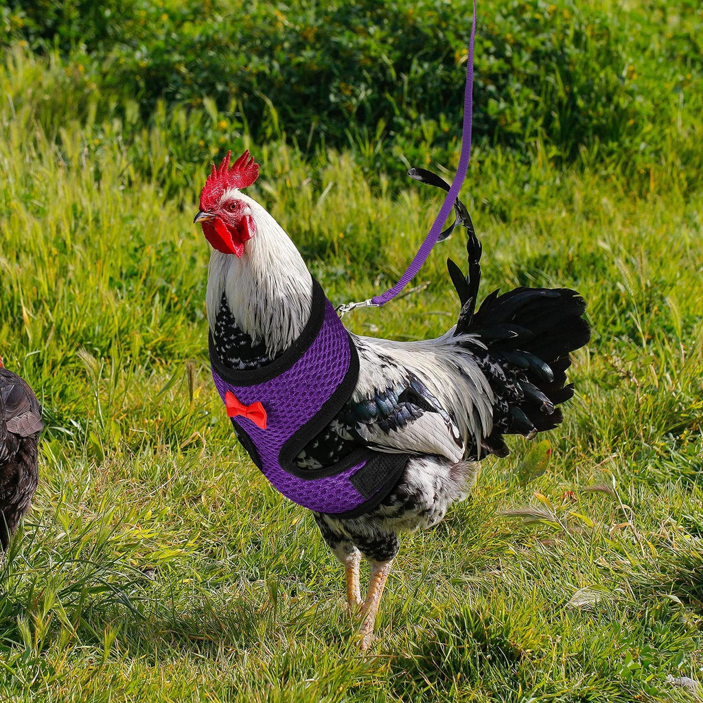 2PCS Adjustable Easter chicken strap and feather rooster comfortable vest with matching belt for breathability