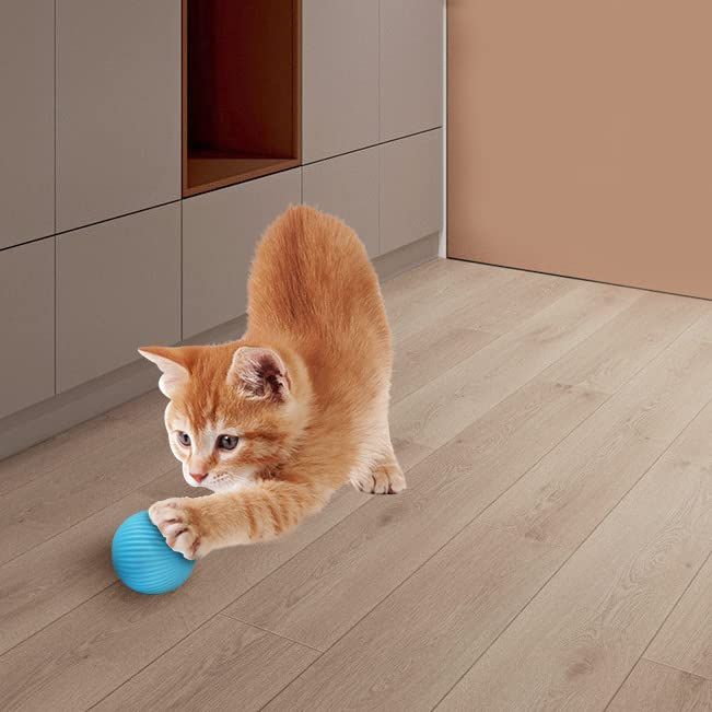 Pet's Cat Toy Ball,Cat Toy,Magic Rolling and Sound Ball for Indoor Playing Stimulate Hunting Instinct for Your Kitty. (Green)