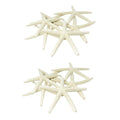 24PCS White Finger Starfish 7-10cm Decorative Five-Finger Starfish
Natural Seashells Starfish Star Fish Shells Decorations White
