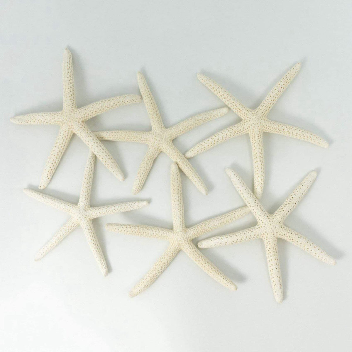 24PCS White Finger Starfish 7-10cm Decorative Five-Finger Starfish
Natural Seashells Starfish Star Fish Shells Decorations White