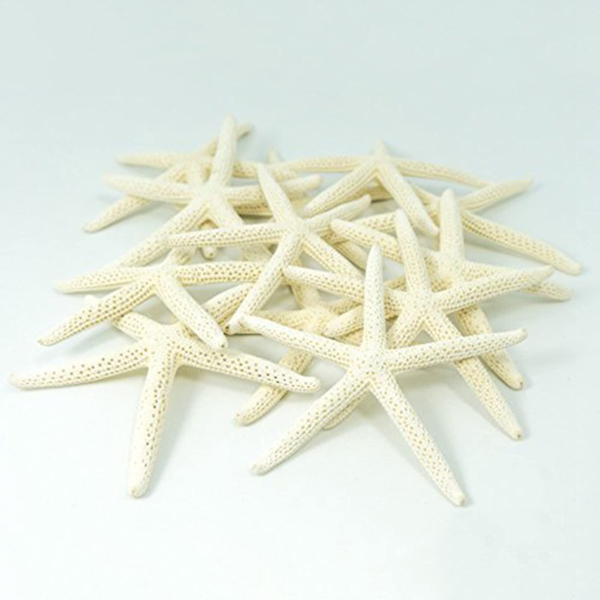 24PCS White Finger Starfish 7-10cm Decorative Five-Finger Starfish
Natural Seashells Starfish Star Fish Shells Decorations White