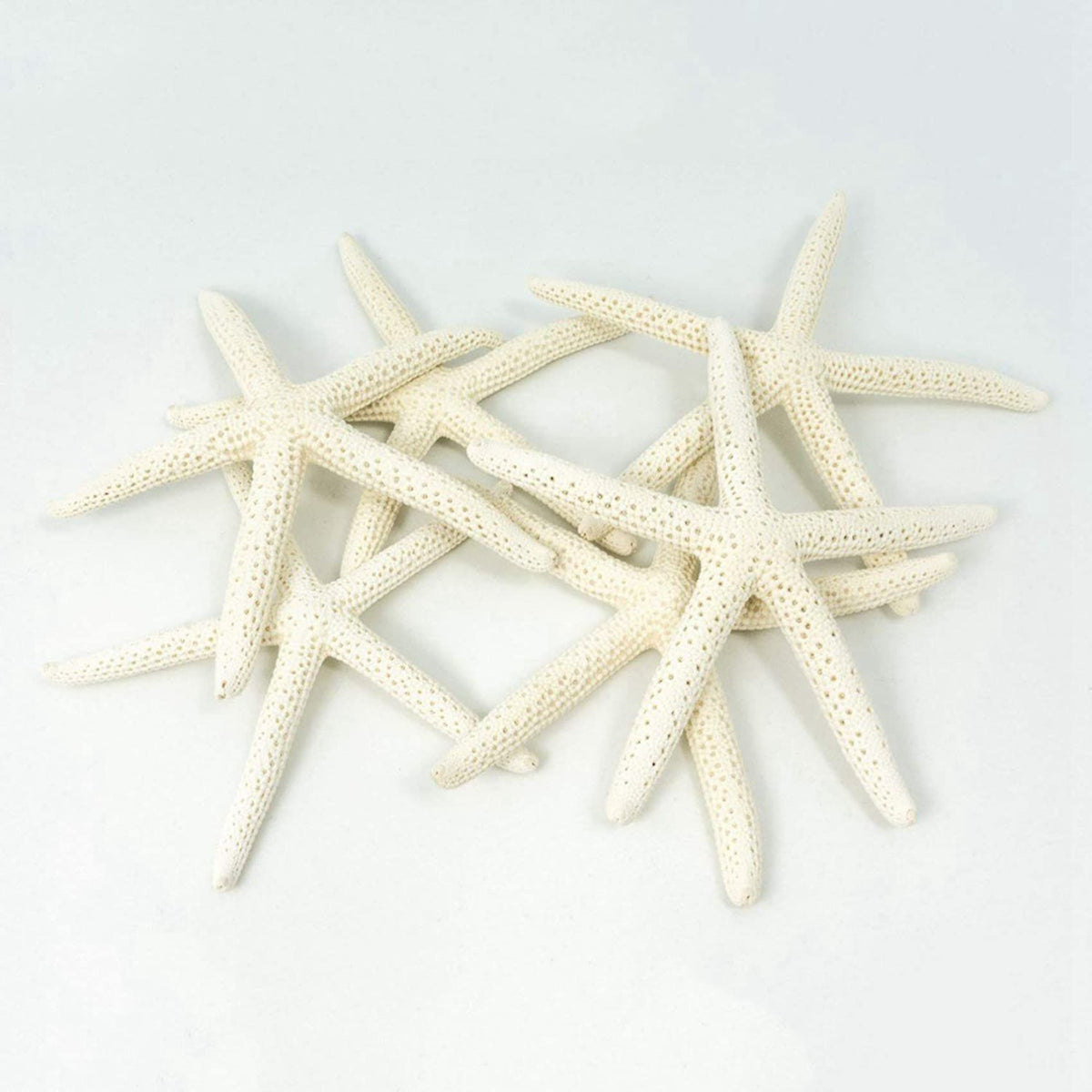 24PCS White Finger Starfish 7-10cm Decorative Five-Finger Starfish
Natural Seashells Starfish Star Fish Shells Decorations White