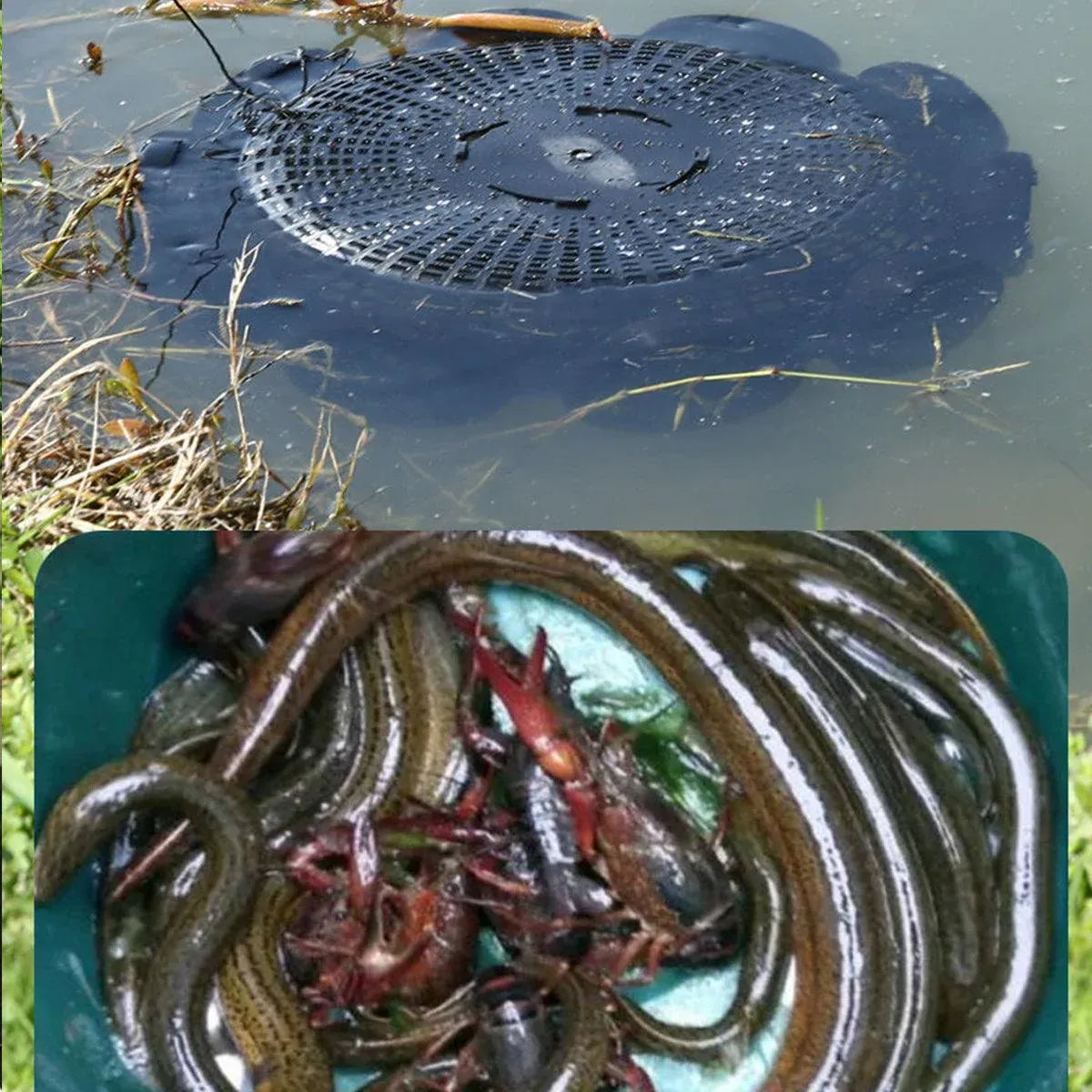 10Hole Eel Fishing Trap Cage Loach Fish Shrimp Net Folding Portable Catch Basket
