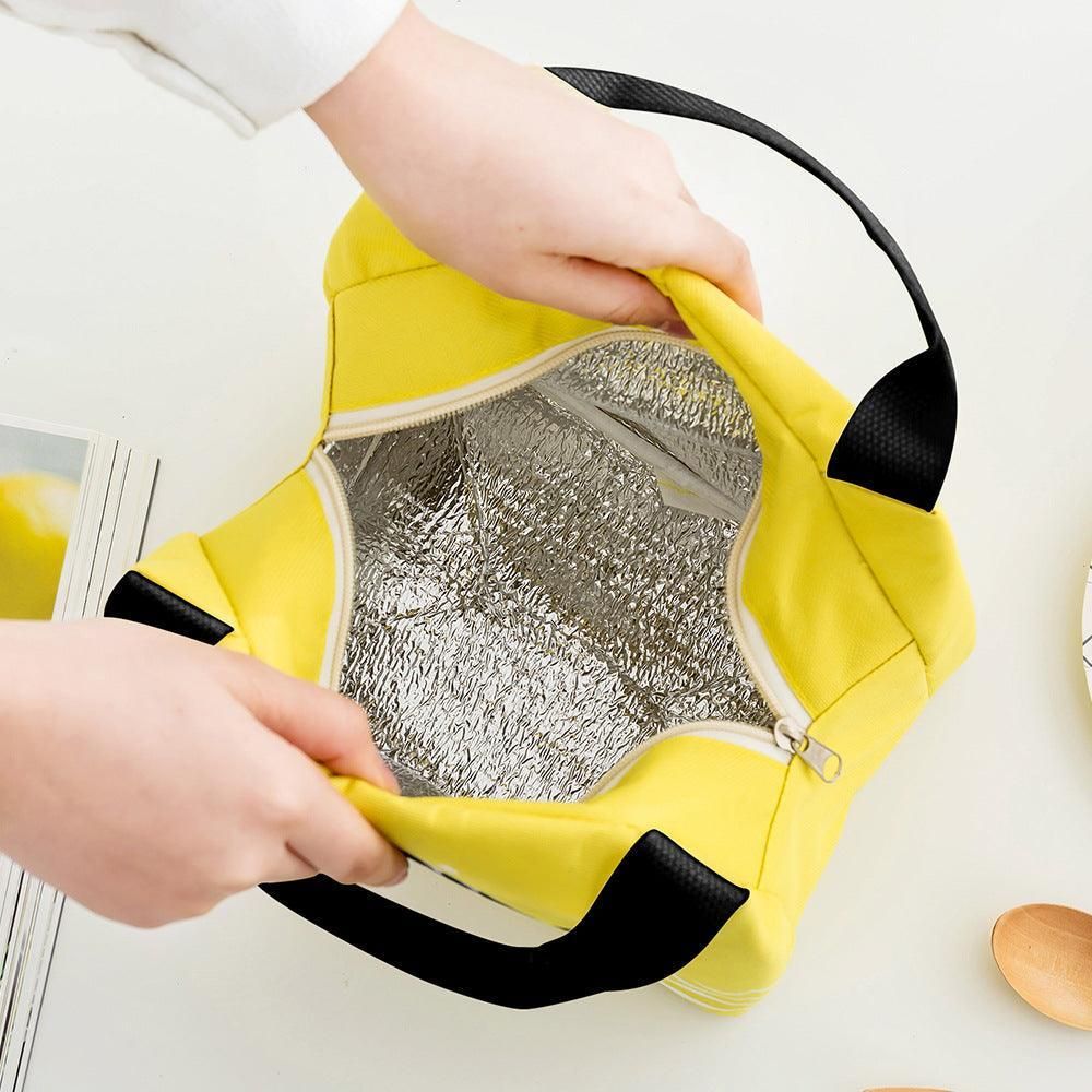 Portable Insulated Thermal Lunch Box Carry Tote Picnic Case Storage Bag 21x17x15cm - C05 (21x17x15cm)