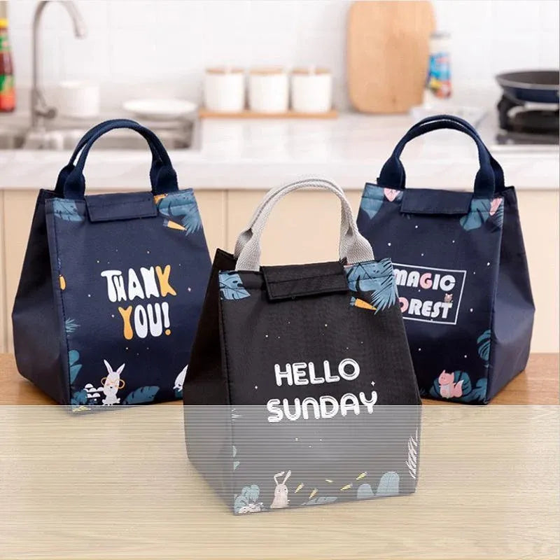Portable Insulated Thermal Lunch Box Carry Tote Picnic Case Storage Bag 18x24x15cm - E01 (18x24x15cm)