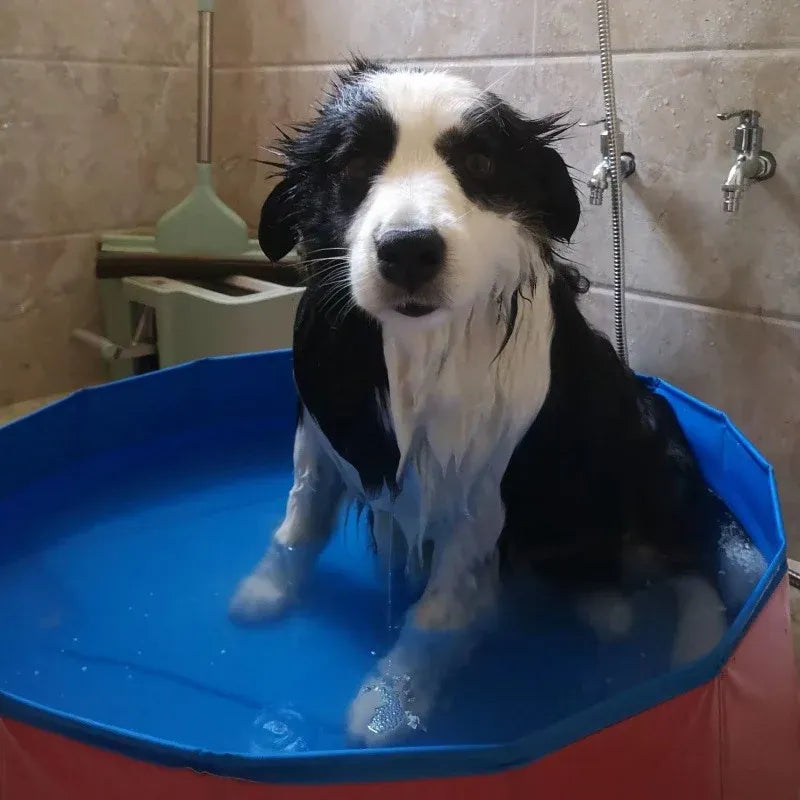 Pet Swimming Pool Foldable Portable Pool for Dogs Outdoor Summer Play - Blue-120x30cm