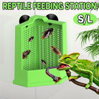 Reptile Hunting Dish Predator Trap Hanging and Placing Field Tool for Outdoors - L