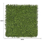 Premium Natural Buxus Hedge Panels UV Resistant 1m X 1m