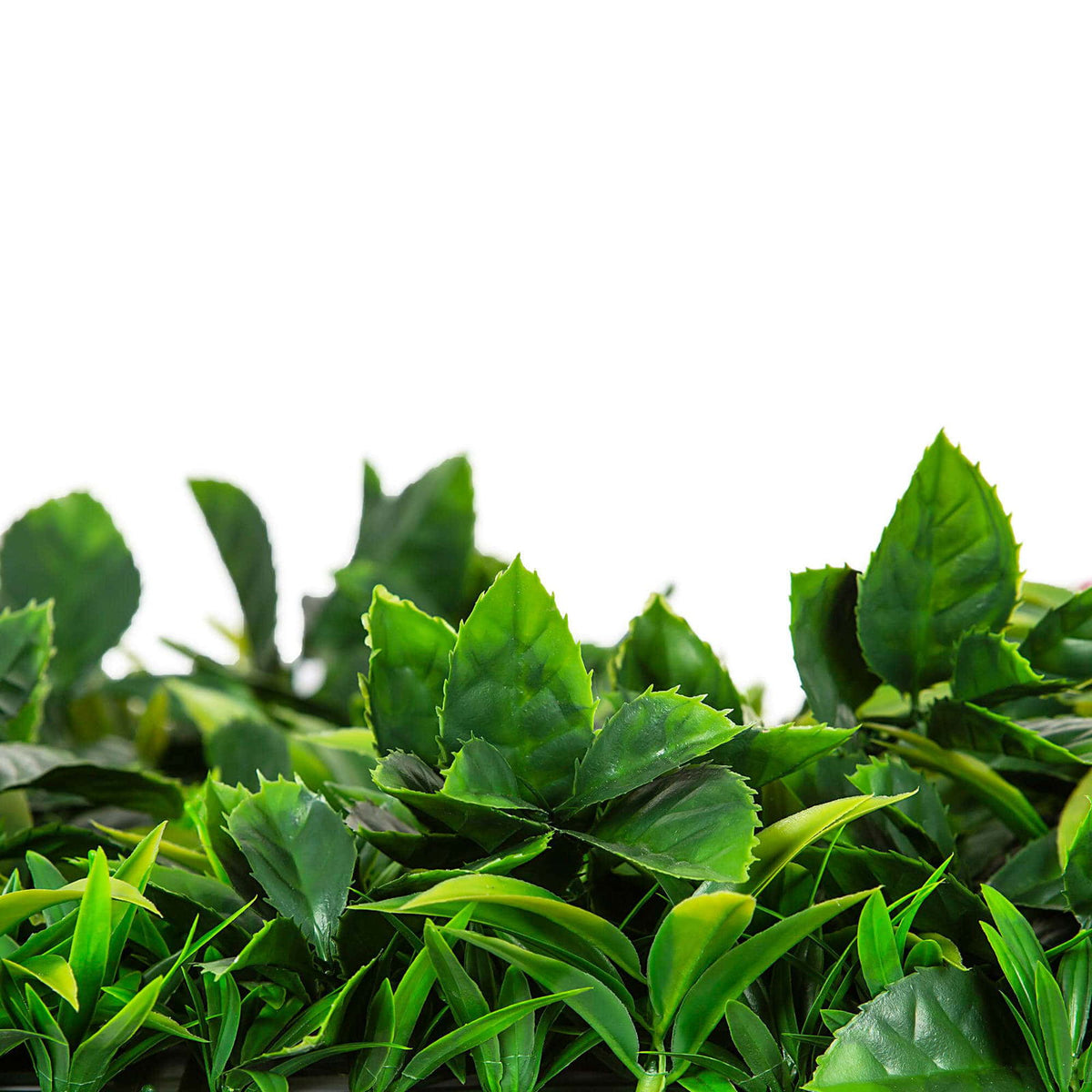 Native Tea Tree Vertical Garden / Green Wall UV Resistant 100cm X 100cm