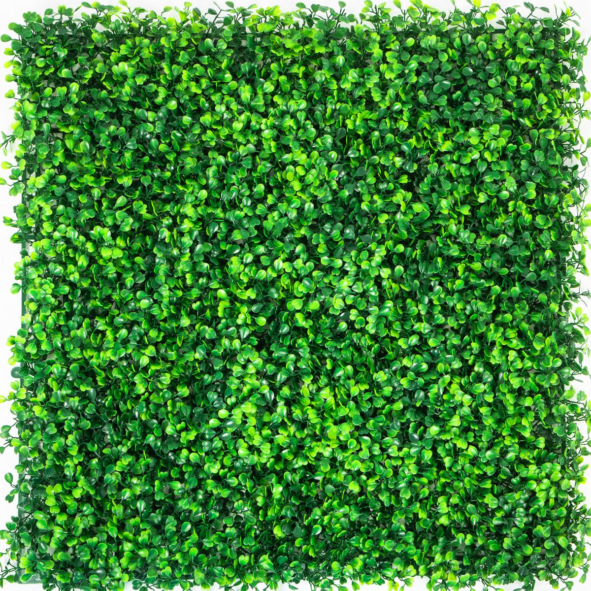 Artificial Boxwood Panels, 14 PCS50.8x50.8cmBoxwood Hedge Wall Panels, PE Artificial Grass Backdrop Wall 4 cm , Privacy Hedge Screen for Decoration of Outdoor, Indoor, Garden, Fence, and Backyar