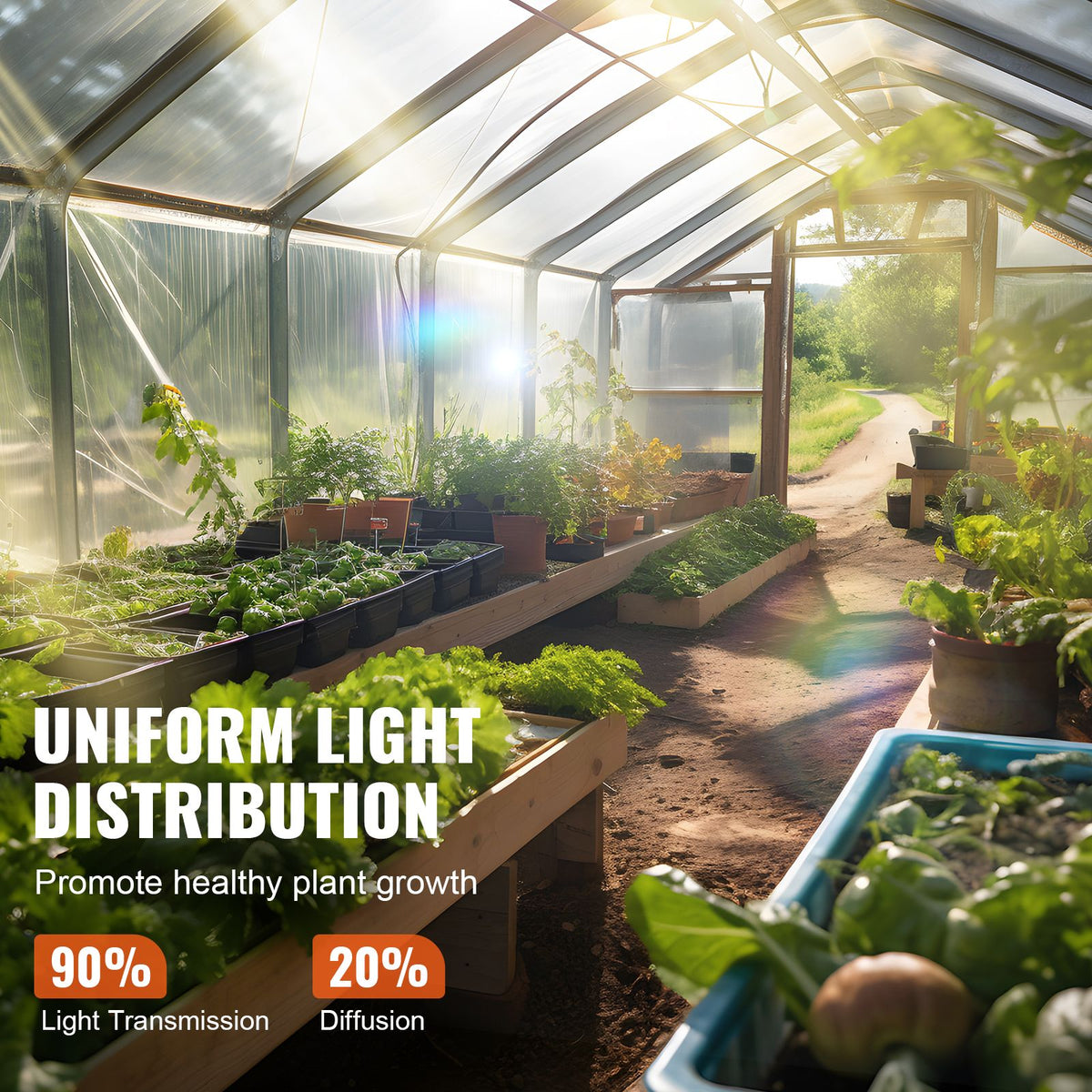 Greenhouse Plastic Sheeting 12 x 50 ft 6Mil Clear Polyethylene Film