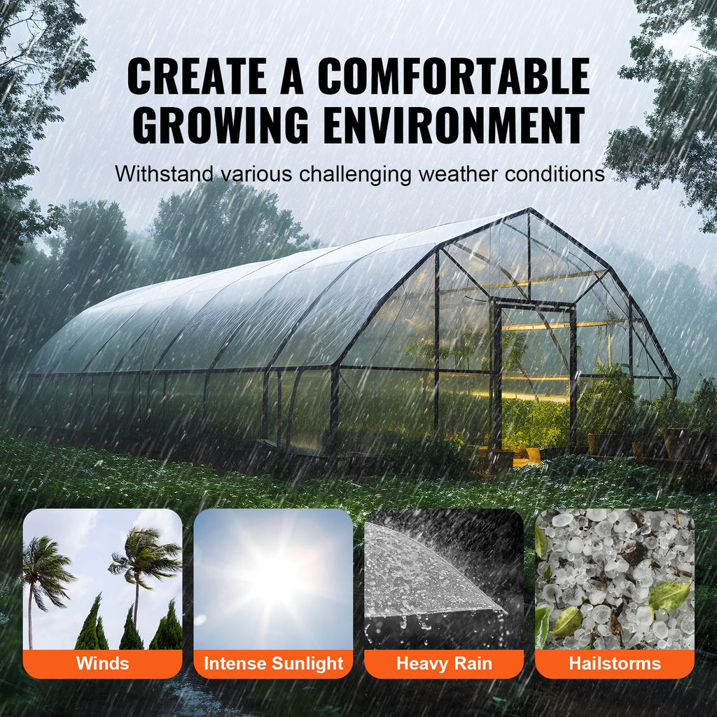 Greenhouse Plastic Sheeting 12 x 50 ft 6Mil Clear Polyethylene Film